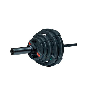 Купить Original FitTools Штанга олимпийская 88 кг (диски с двумя хватами, черный гриф) в Москве