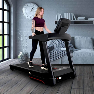 Купить Беговая дорожка Everyfit 75005LT в Москве