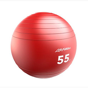 Купить Фитбол Life Fitness Stability Ball в Москве