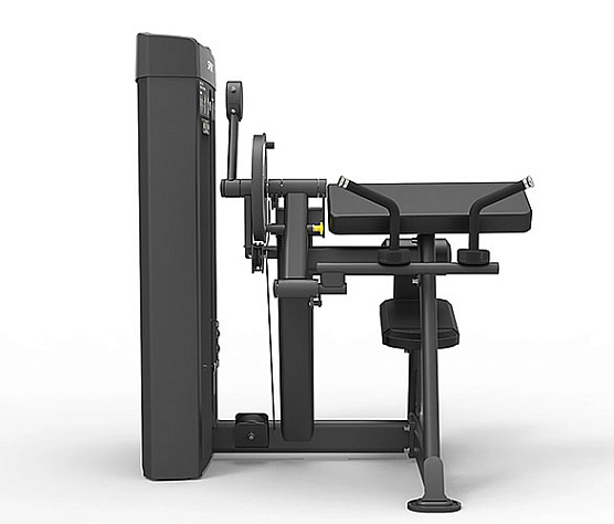 Бицепс / трицепс сидя Spirit Fitness SP-4607 фото1