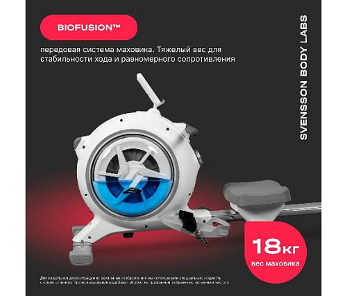 Гребной тренажер Svensson Body Labs WHEELO домашний