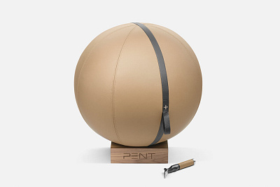 Фитбол с подставкой Pent MESNA SET