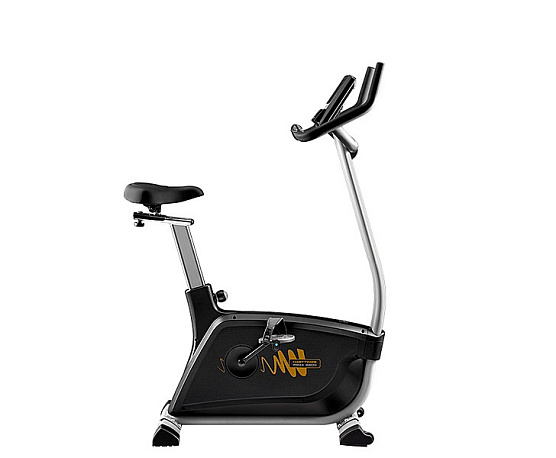 Кардиотренажер Hasttings Wega S300