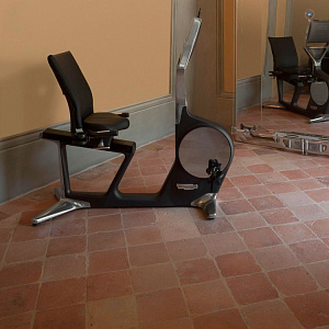 Купить Горизонтальный тренажер Technogym Recline Personal в Москве