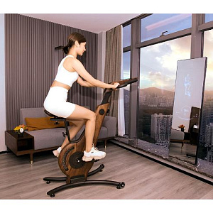 Купить Фитнес-зеркало FitnessBot AI Fitness Mirror S в Москве