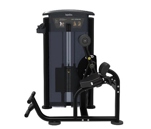 Разгибание спины Aerofit Impulse IT9532