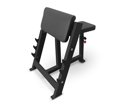 Скамья Bronze Gym AL-303