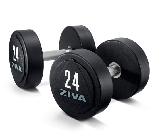 Ziva Гантели уретановые 42 кг (пара)