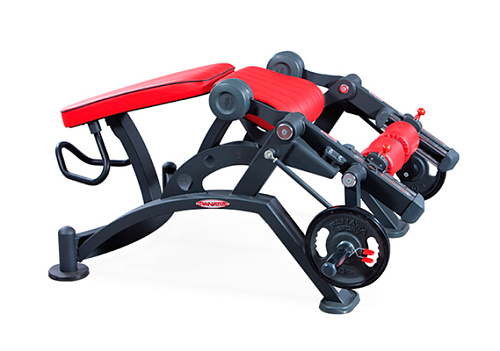 Нагружаемый дисками тренажер Panatta Freeweight HP 1HP582 Купить Нагружаемый дисками тренажер Panatta Freeweight HP 1HP582 в Москве