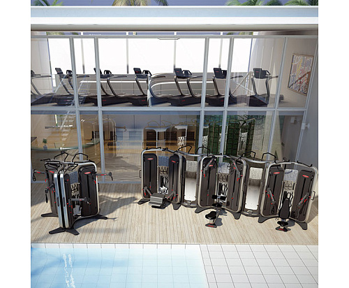 Многофункциональный тренажёр двойная регулируемая тяга DAP Panatta Inside 1IN101