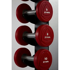 Купить Ziva Набор уретановых гантелей 1-10kg в Москве