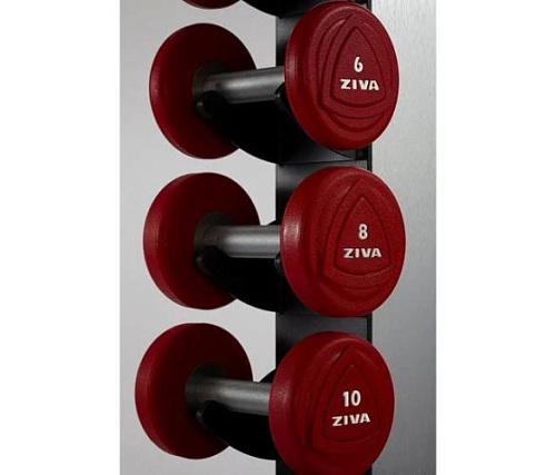 Гантели уретановые Ziva ZVO-DBPU-1310 9 кг (пара)