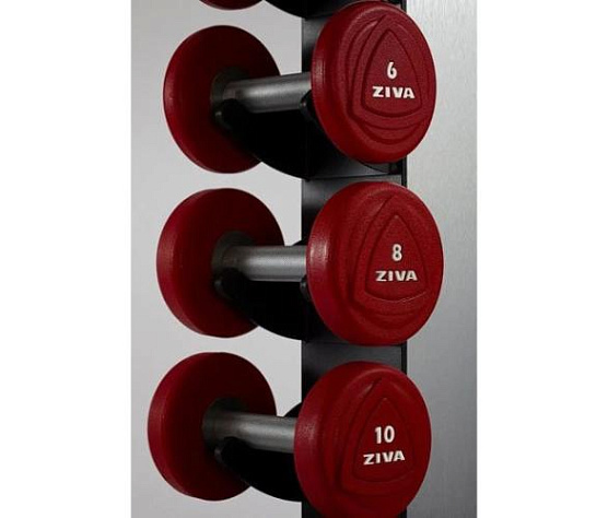 Набор уретановых гантелей Ziva ZVO-DBPU-1301-RD 1–10 кг фото1
