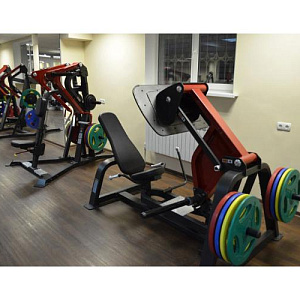Купить Нагружаемый дисками тренажер Aerofit Impulse SL7006 Жим ногами в Москве