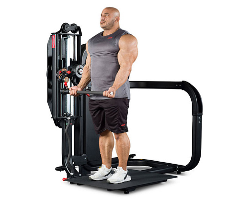 Бицепс/Трицепс стоя Panatta Monolith 1MTH055A