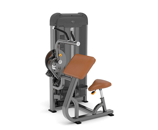 Бицепс/Трицепс Anyfit PS03-84