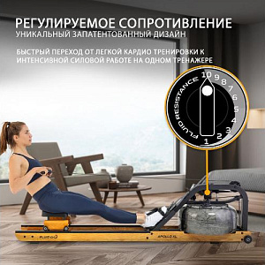 Купить Гребной тренажер First Degree Fitness Apollo XL в Москве