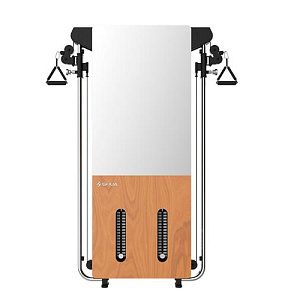 Купить Кроссовер SHUA Wall mounted trainer SH-G699 Настенный тренажер  в Москве