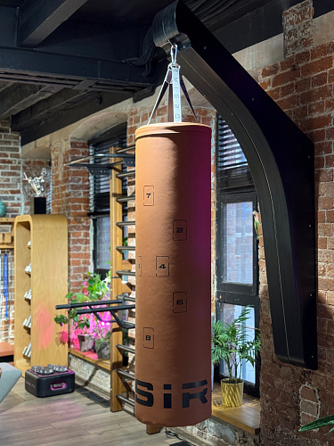 Боксерский мешок капсульный Desire Box Punch