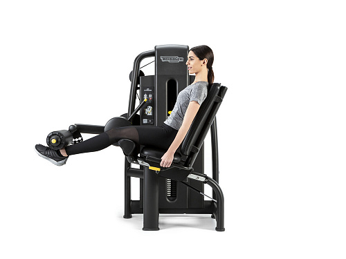 Разгибание ног Technogym Selection 700 Leg Extension