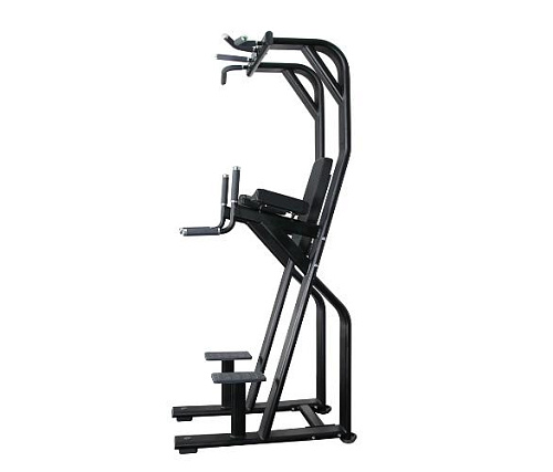 Турник силовой многофункциональный Protrain V8-304