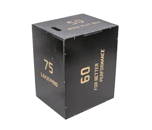 Купить Опора для прыжков в высоту Livepro LP8156 (плиобокс) в Москве
