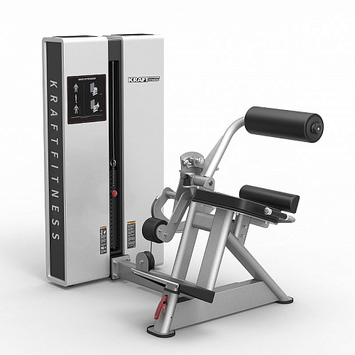 Купить Разгибание спины Kraft Fitness KFXBE в Москве
