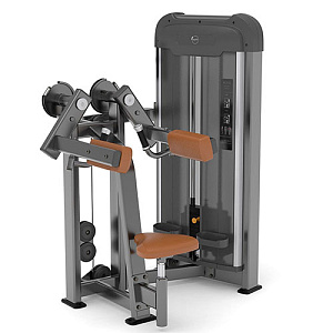 Купить Силовой тренажер Anyfit Дельт-машина PE113-66 в Москве