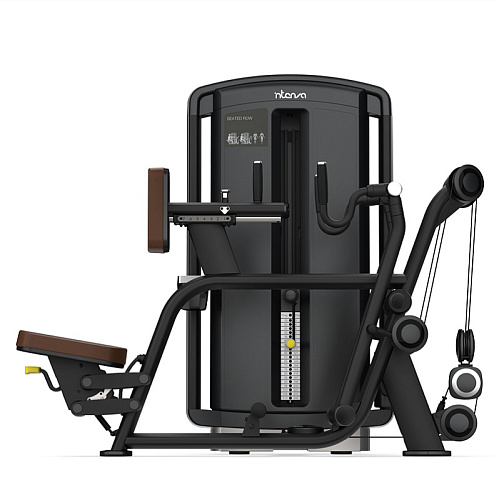 Гребная тяга INTENZA DL-10