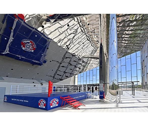 Ринг боксерский соревновательный Targex на помосте 1 м 800х800х100