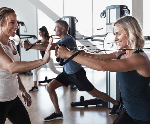 Силовой тренажер Freemotion Fitness Fusion