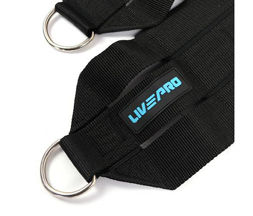 Набор эспандеров эластичных Livepro LP8166