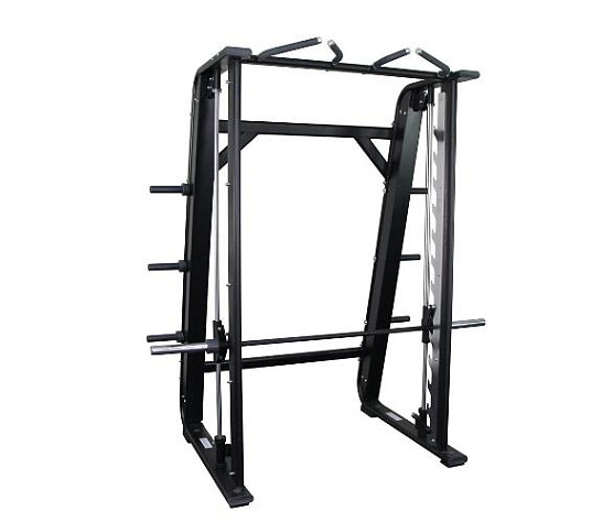 Protrain V8-518 машина смита с турником