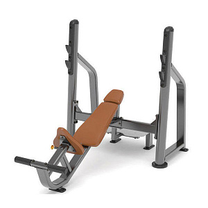 Купить Силовой тренажер Anyfit Скамья для жима лежа с положительным углом наклона PEB102 в Москве