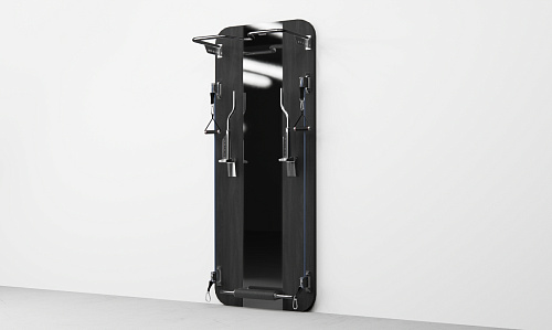 Напольный турник Desire Personal Vision