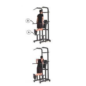 Купить Technogym Chin Up Dip Leg Raise	 в Москве