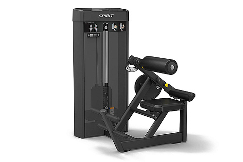 Купить Разгибание спины Spirit Fitness SP-4310 в Москве
