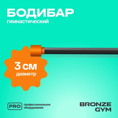 Гимнастическая палка бодибар Bronze Gym, 6 кг