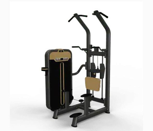 Купить Гравитрон Fiton BM-008 в Москве