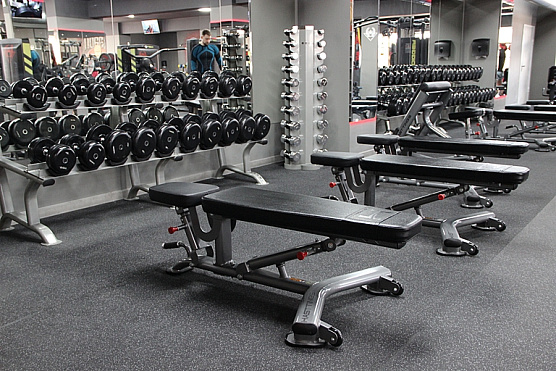 Скамья регулируемая Hasttings Digger HD016-4 фото2