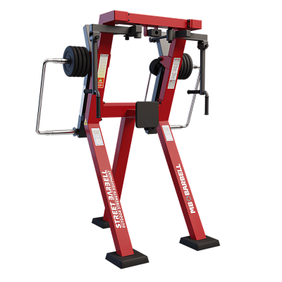Сведение рук в положении стоя с изменяемой нагрузкой MB Barbell StreetBarbell MB 7.31E