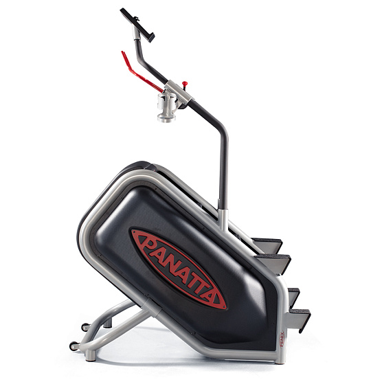 Лестница Panatta EcoClimber фото1