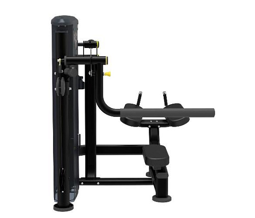 Ягодичные Aerofit Impulse IT9526