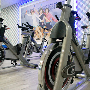 Купить Велотренажер Aerofit PS300E в Москве