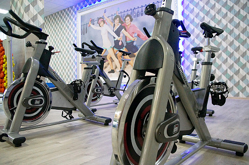 Велотренажер Aerofit PS300E