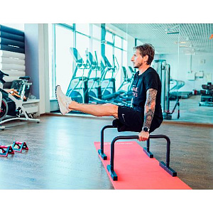 Купить Original FitTools Брусья мобильные (паралетсы) в Москве