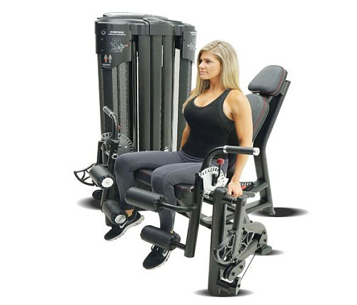 Разгибание и сгибание ног Inspire DMEC1