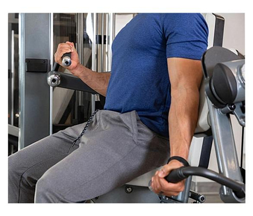 Мышцы бицепса руки True Fitness SPL-0600