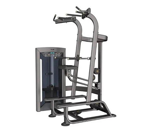 Купить Подтягивание/отжимание с помощью Aerofit Impulse FE9720 в Москве