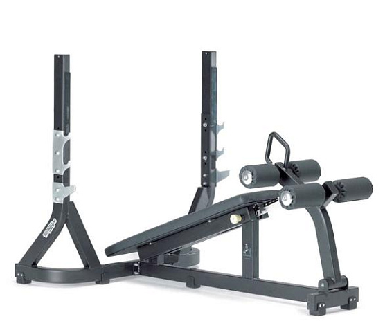 Technogym Olympic Decline Bench